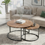 ضيافه متداخله